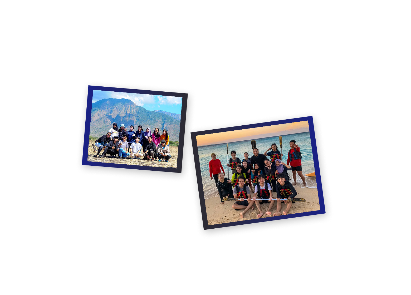 Showcase 2